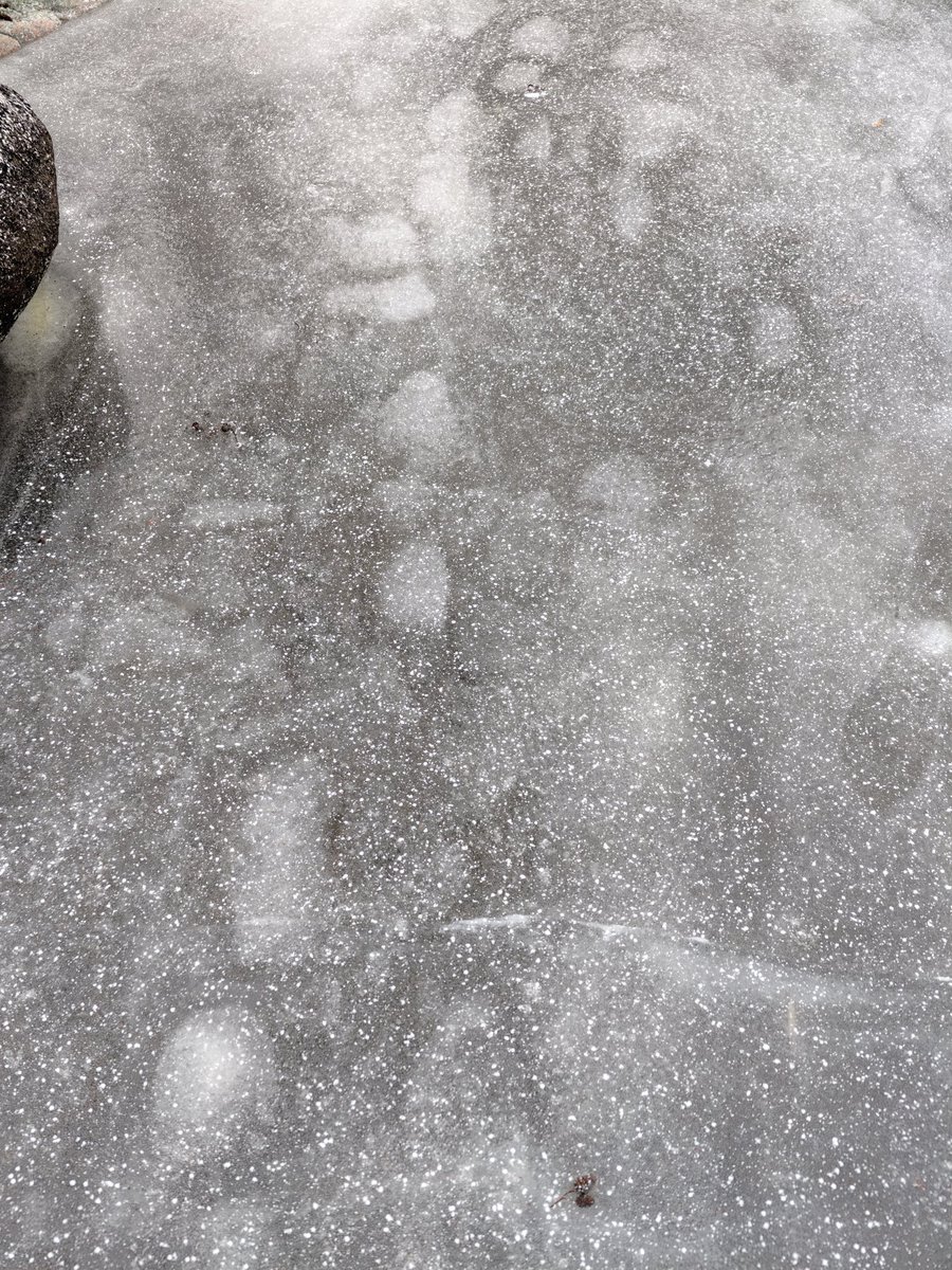 Sherringford56's tweet photo. Another #walk in the #winter #landscape of the #Grimsta #NaturalPreserve. #Footprints on the #ice of #LakeMälaren. Some people enjoy taking a #winterbath. https://t.co/ucP6PuXgzW