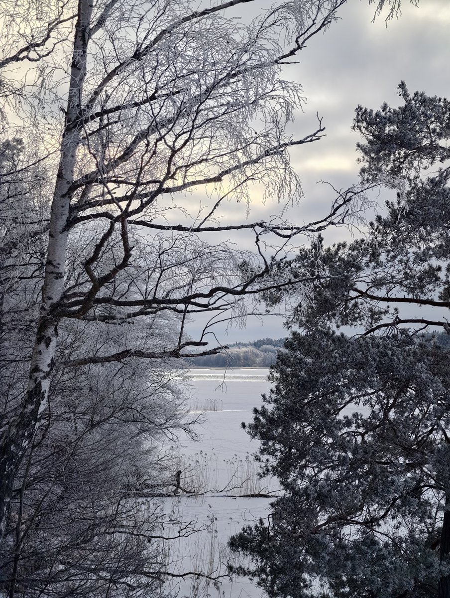 Sherringford56's tweet photo. Another #walk in the #winter #landscape of the #Grimsta #NaturalPreserve. #Footprints on the #ice of #LakeMälaren. Some people enjoy taking a #winterbath. https://t.co/ucP6PuXgzW