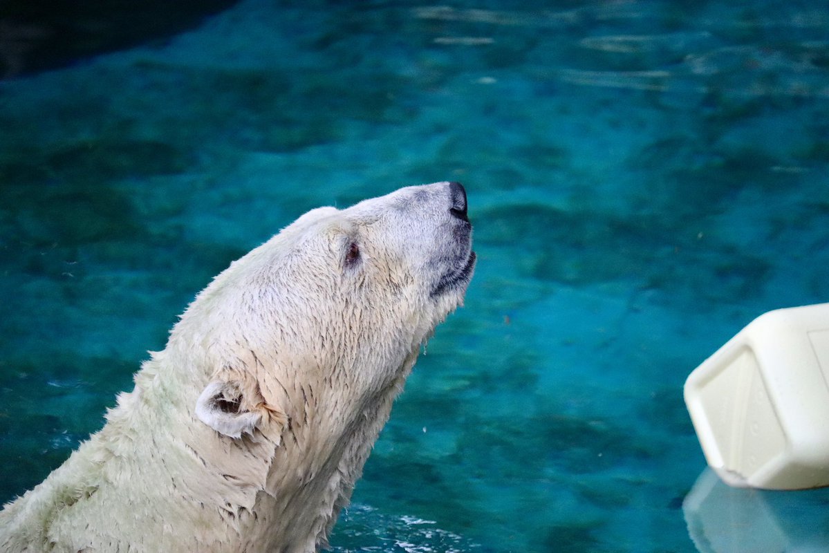 ゆかたん (@yu_ka7493) / Posts / X