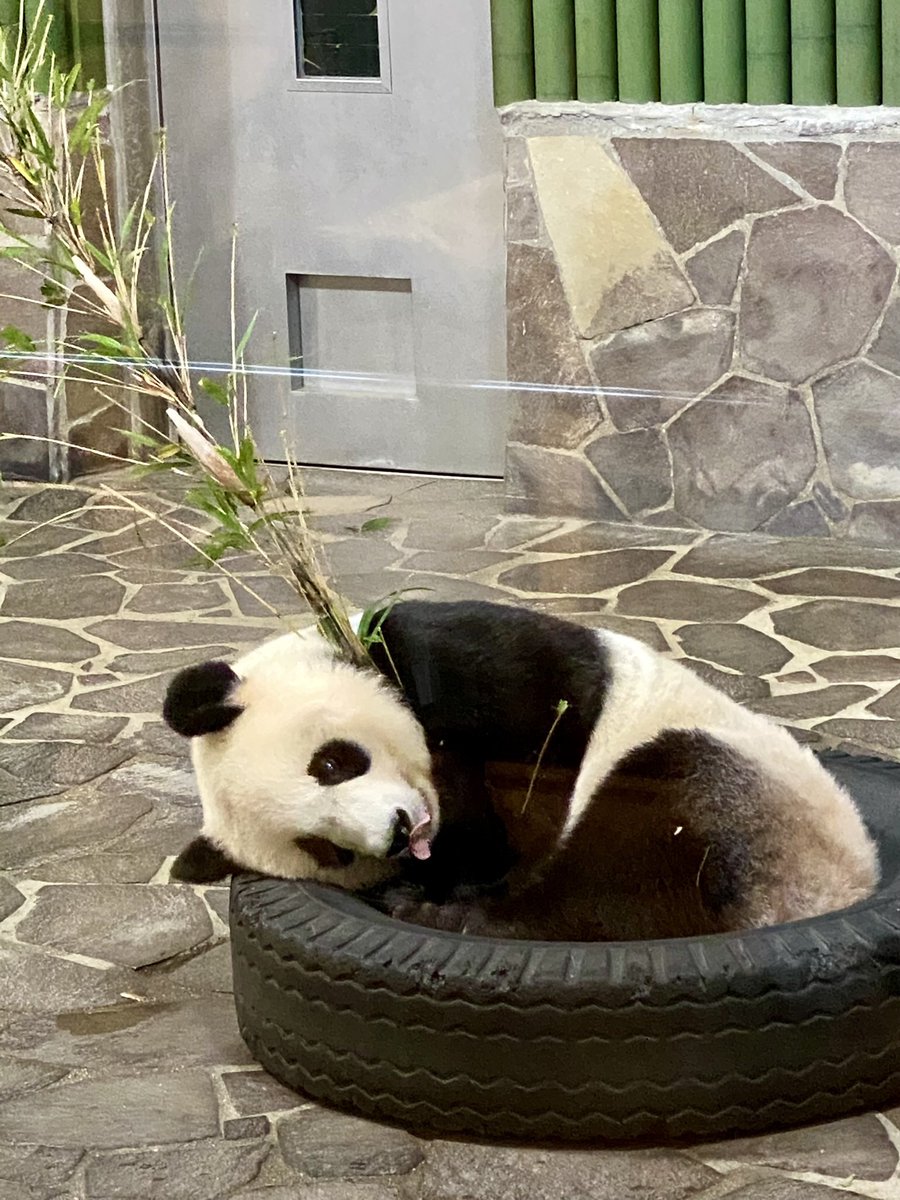 ゆかたん (@yu_ka7493) / Posts / X