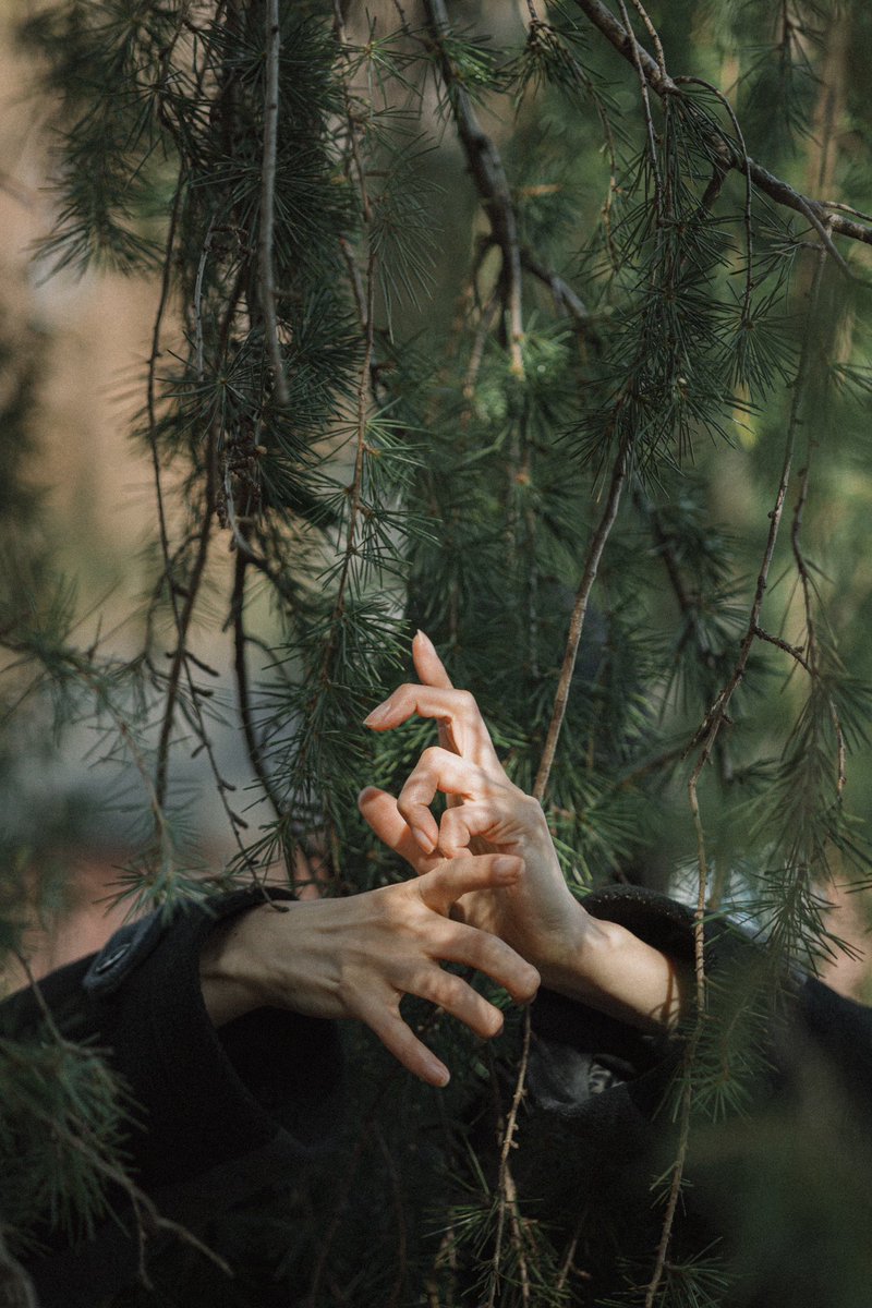 ぐるり tweet media