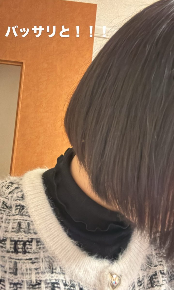 renachi_11207's tweet photo. バッサリ切りました。
セルフカラーのせいで中間死んでた😭

1年半伸ばした髪の毛とおさらば。。。 https://t.co/X0RFngi3ZQ