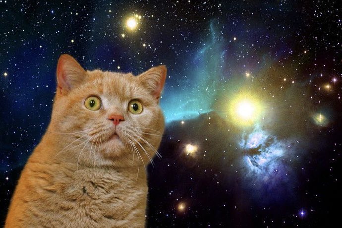 ㅂㅁ (@5xt_66) on Twitter photo 