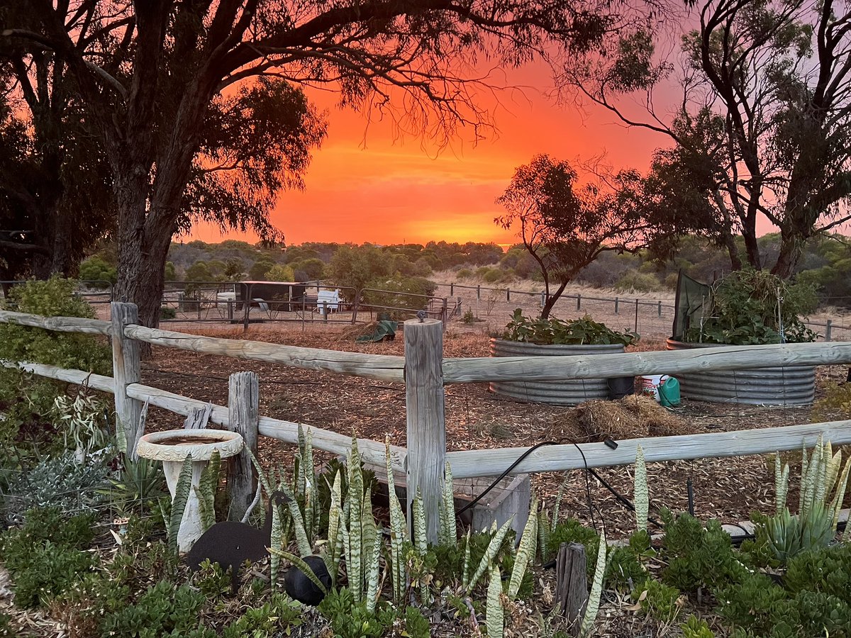 Darrin Lee tweet media