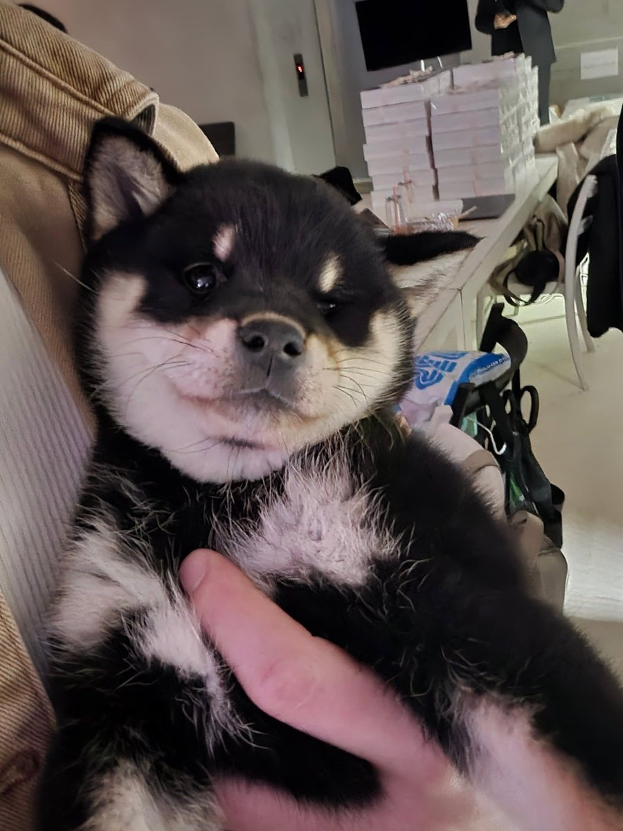 translatingTXT's tweet image. [260209] #beomgyu (@.bamgyuuuu) instagram 

“you say hi to a cute puppy 🐶”

🎵 sunday driver - txt soobin 

note: the caption is a reference to lyrics from ‘sunday driver’