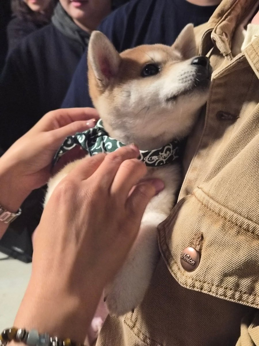 translatingTXT's tweet image. [260209] #beomgyu (@.bamgyuuuu) instagram 

“you say hi to a cute puppy 🐶”

🎵 sunday driver - txt soobin 

note: the caption is a reference to lyrics from ‘sunday driver’