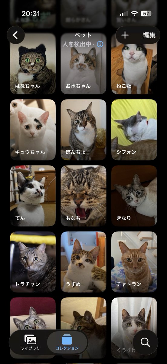 Post by 鉄蛇 on X: 素敵な趣味w