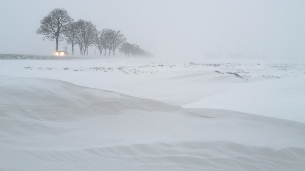 ➡️ Robert de Vries tweet media