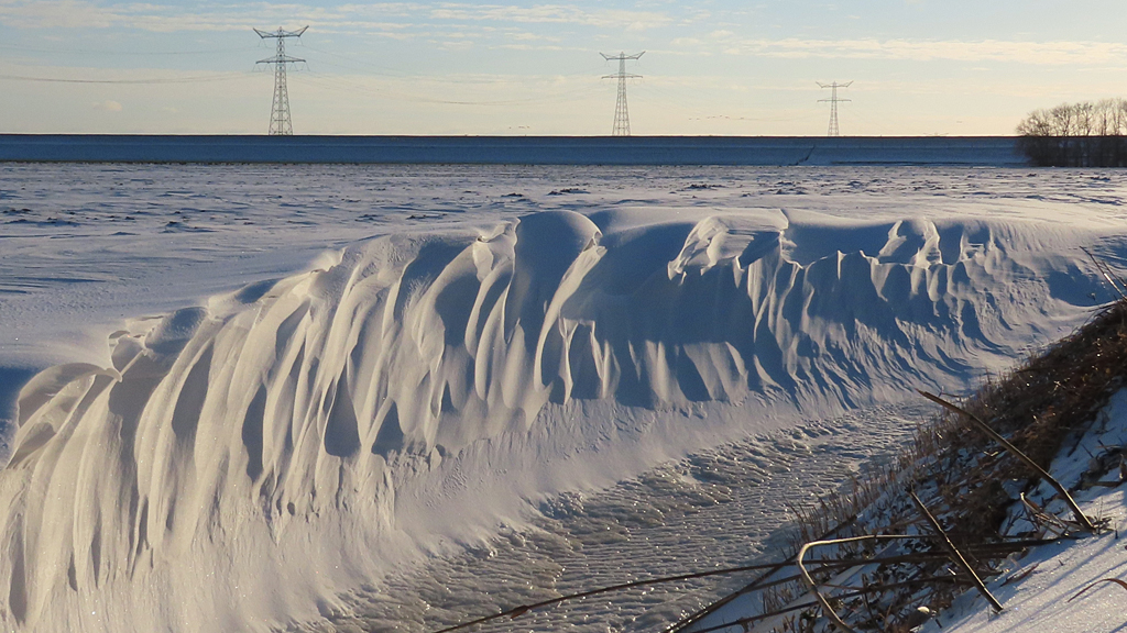 ➡️ Robert de Vries tweet media