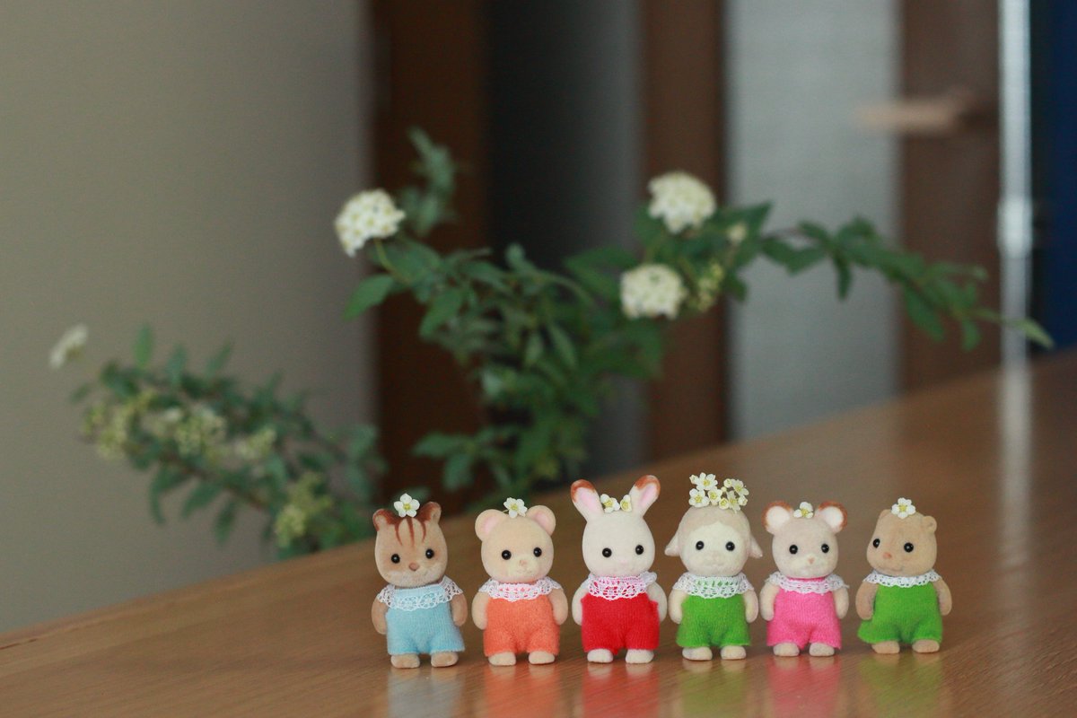 をかぴ tweet media