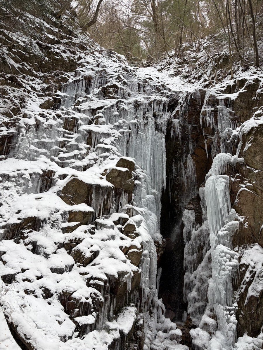 本日 大寒波明け
とても良い天気でした

2026年 六甲山 氷瀑
2月4日水 → 2月9日月