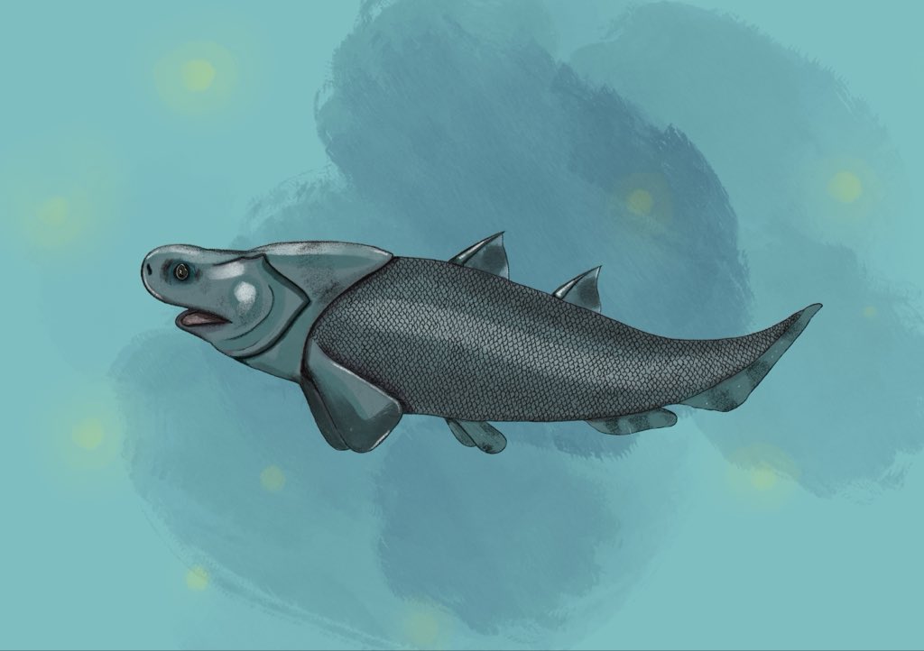 mmustelus's tweet photo. My attempt at Shenacanthus, inspired by @sharkbitesteve. https://t.co/xLxzTqOoV0