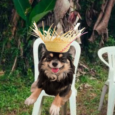 _gracias, mami, por parirme aquí_