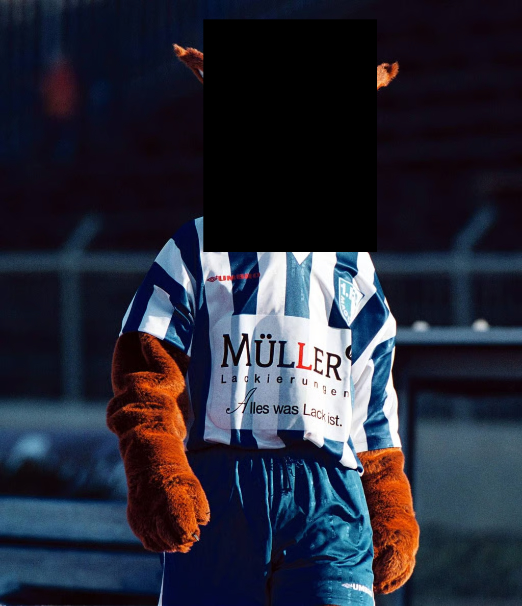 Lalpengu | David Otto Fanbusfahrer tweet media