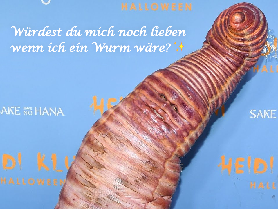 Lalpengu | David Otto Fanbusfahrer tweet media