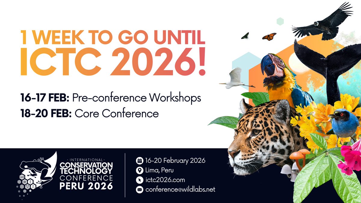 WILDLABS Community tweet media