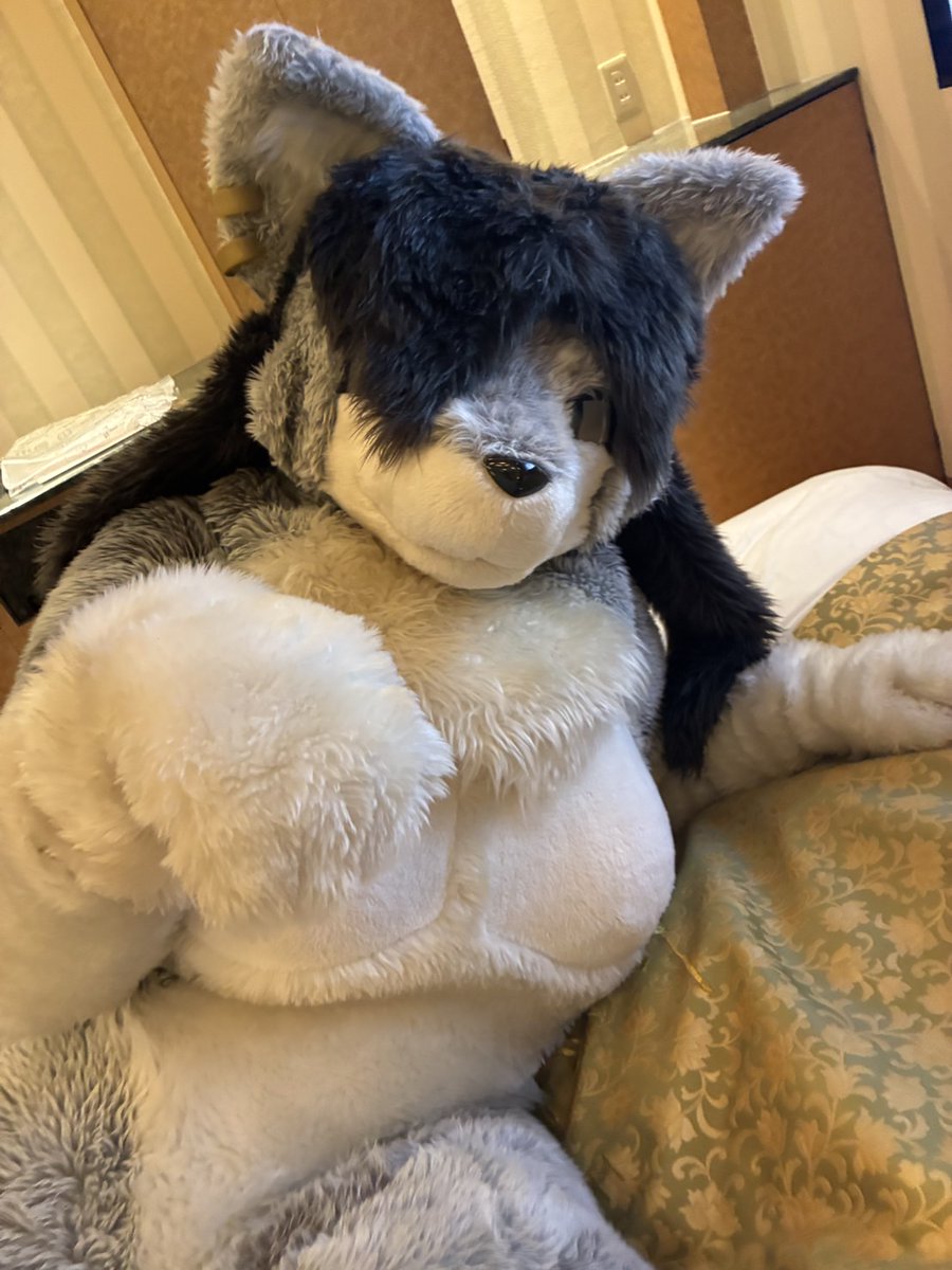 寒い？モフモフする？