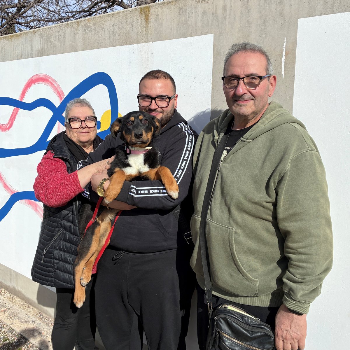 El Refugi dels Peluts tweet media