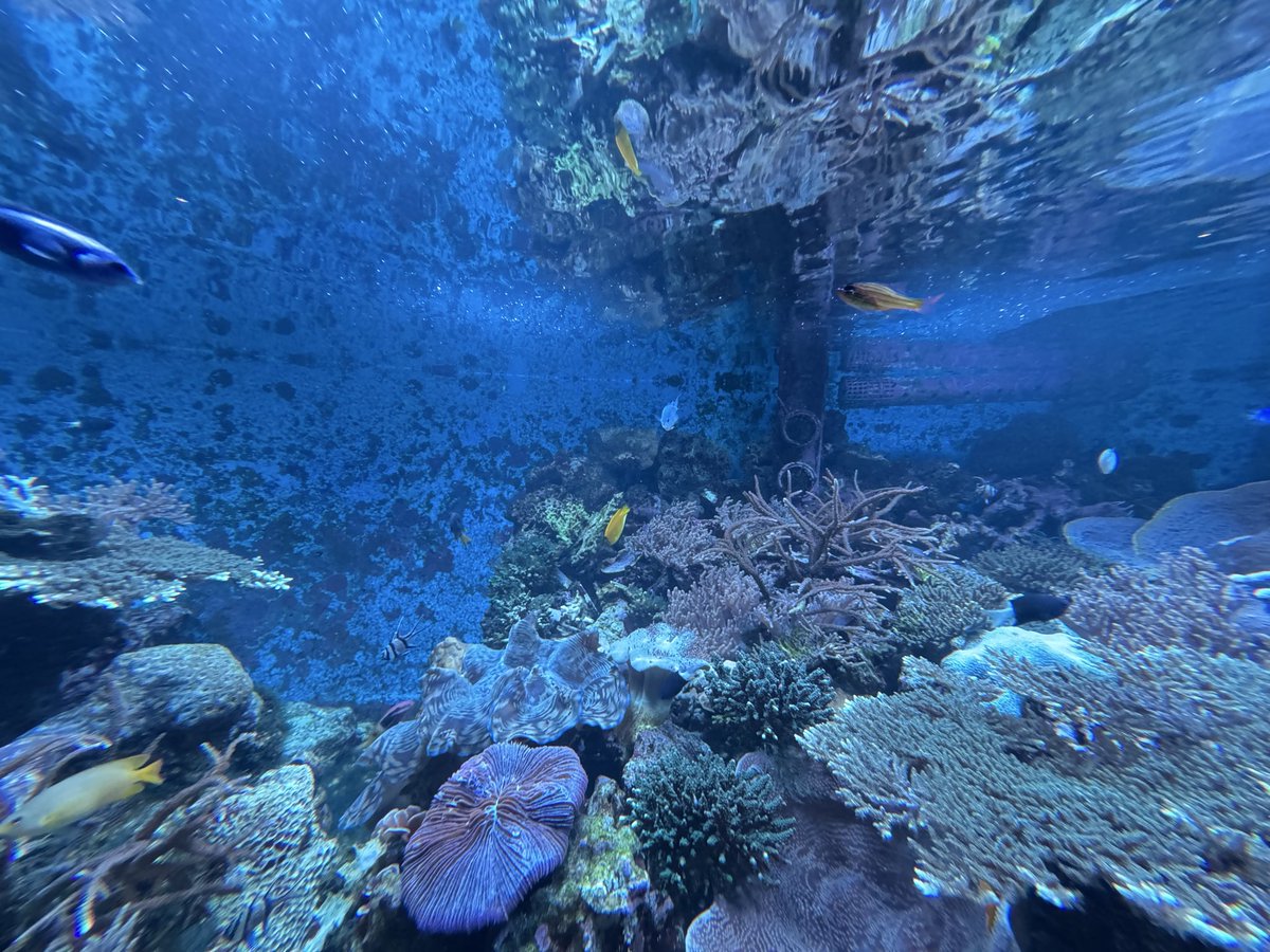 癒しを求めて
心が洗われました