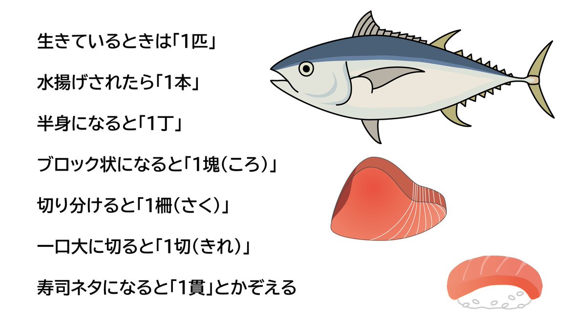マグロの数え方は色々変わります！ 生きている時は「匹」でかぞえ