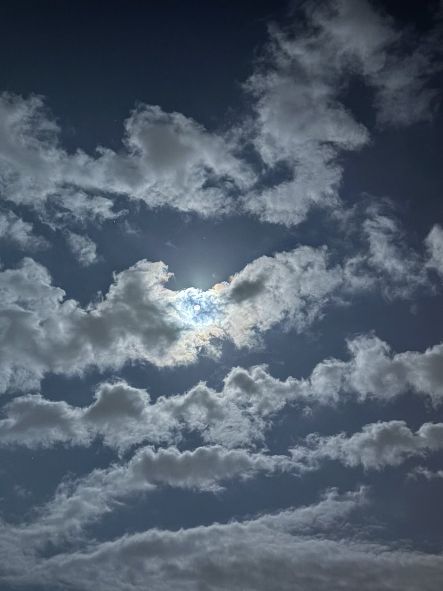 谷口雄也 tweet media