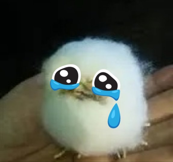 letterUWU's tweet photo. 터흐억 https://t.co/HRpzOxGffz