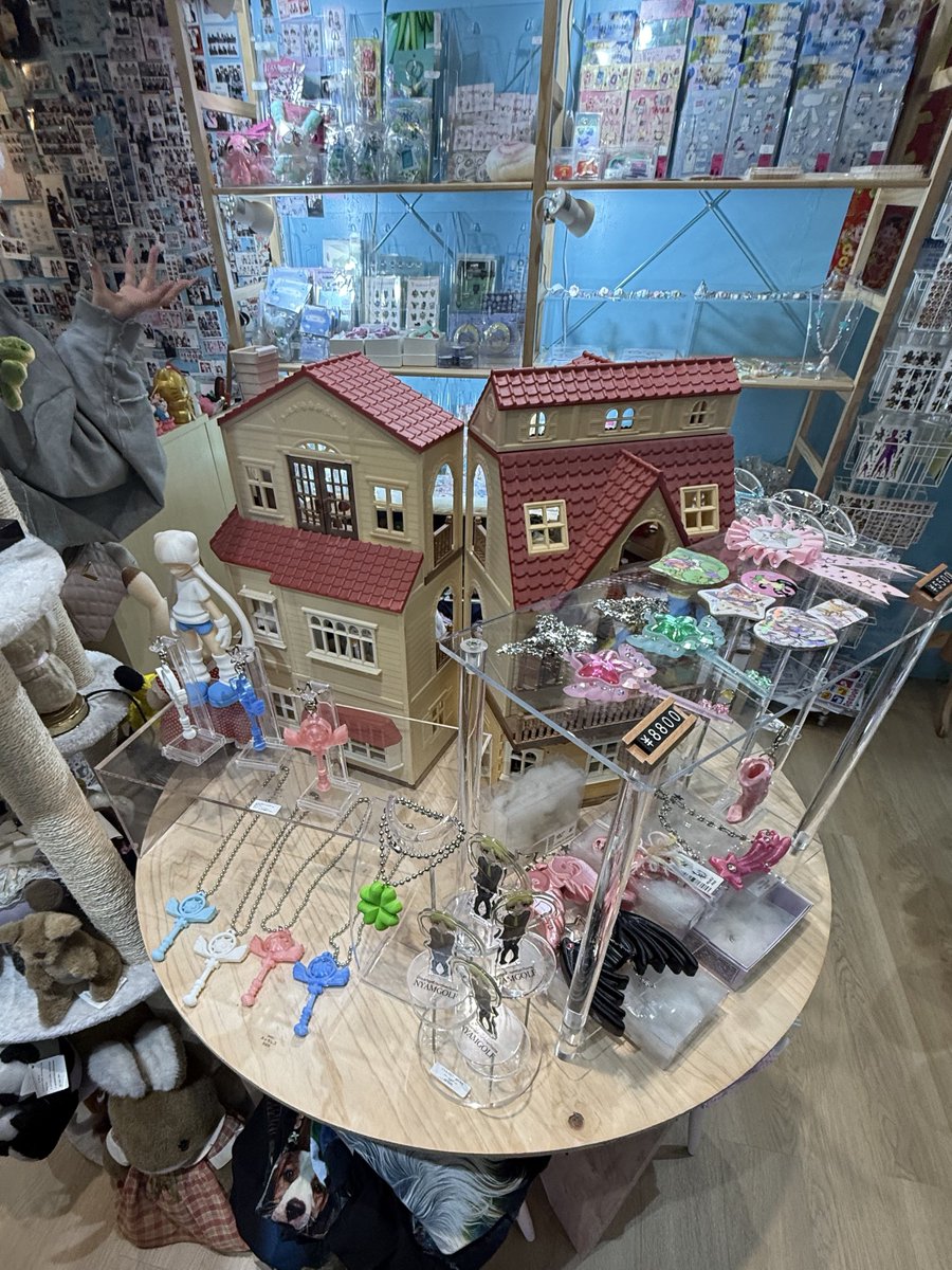 ⋆˚࿔ tweet media