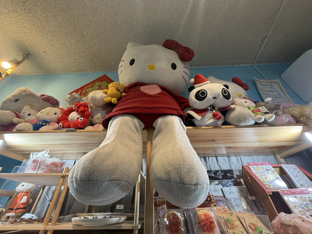 ⋆˚࿔ tweet media