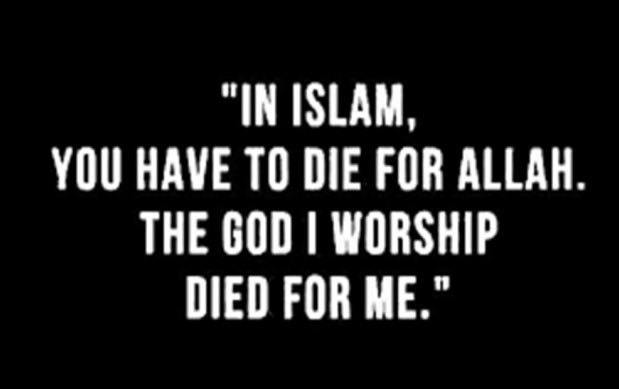 AZLady1916's tweet image. 