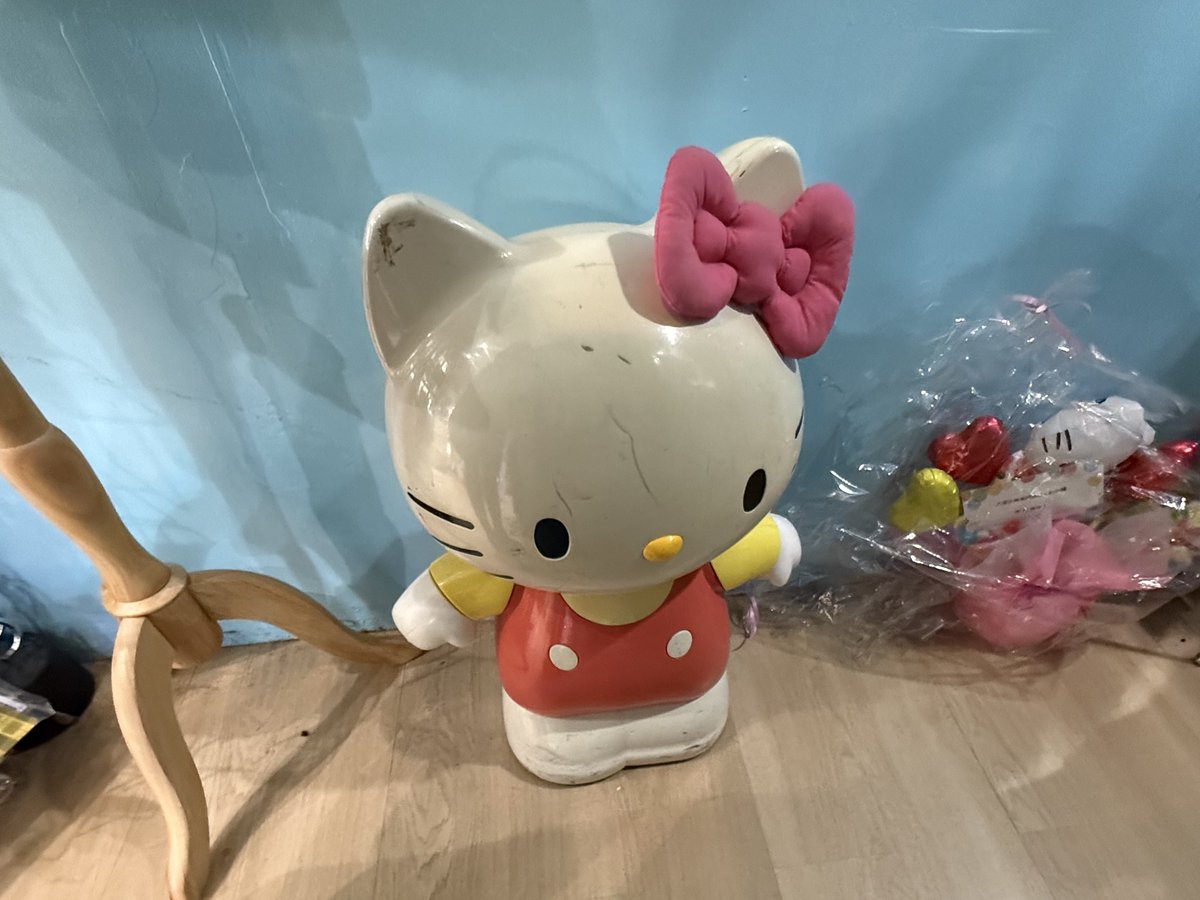 ⋆˚࿔ tweet media