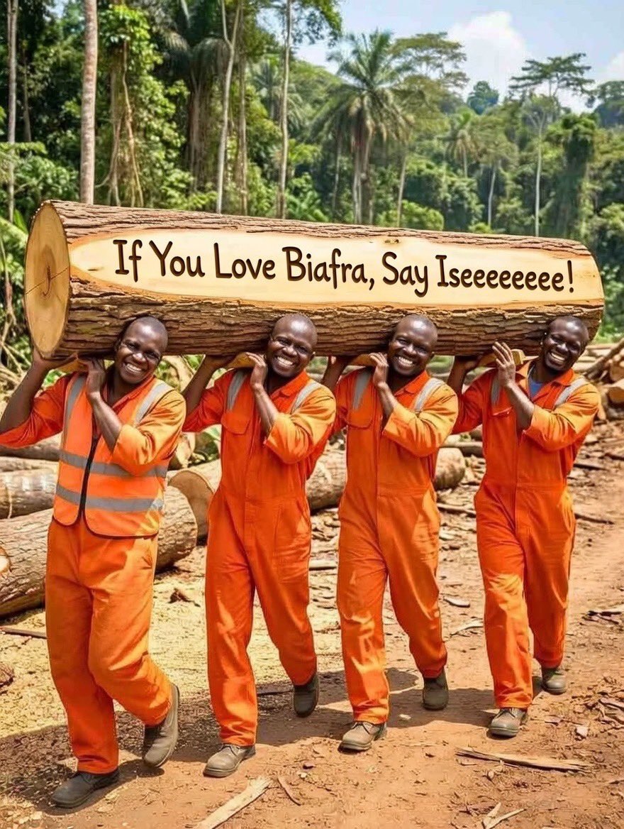 If love Biafra, say Hello, then I'll follow you permanently