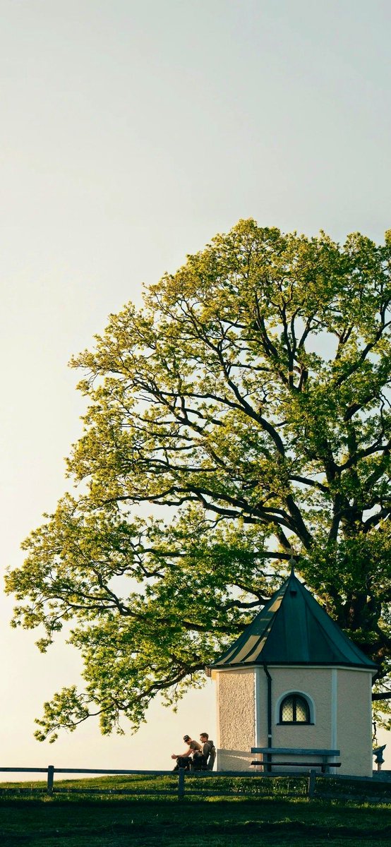 Delightful Architecture tweet media