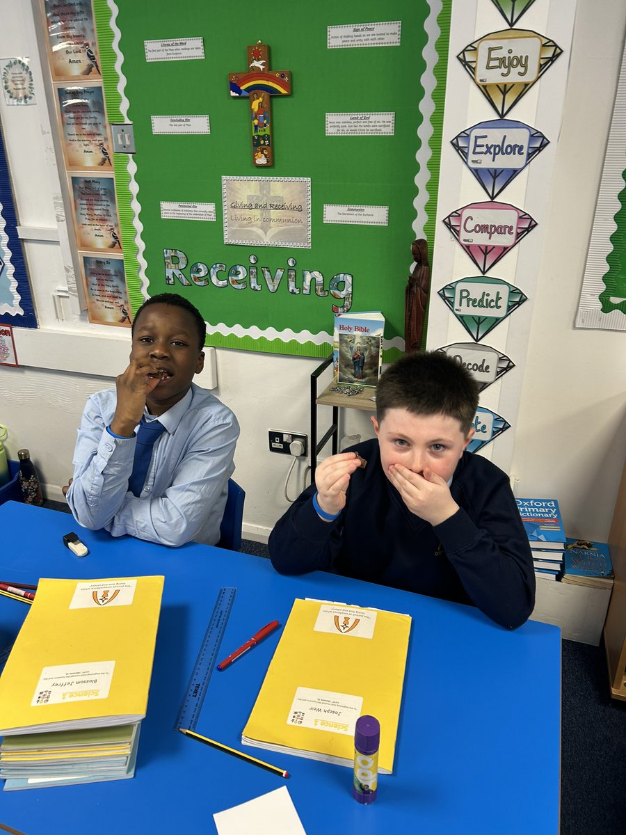 Woodpecker have been sampling some Turkish Delight as part of their study of Narnia. They aren’t convinced that the White Witch’s bribery would have worked on them…