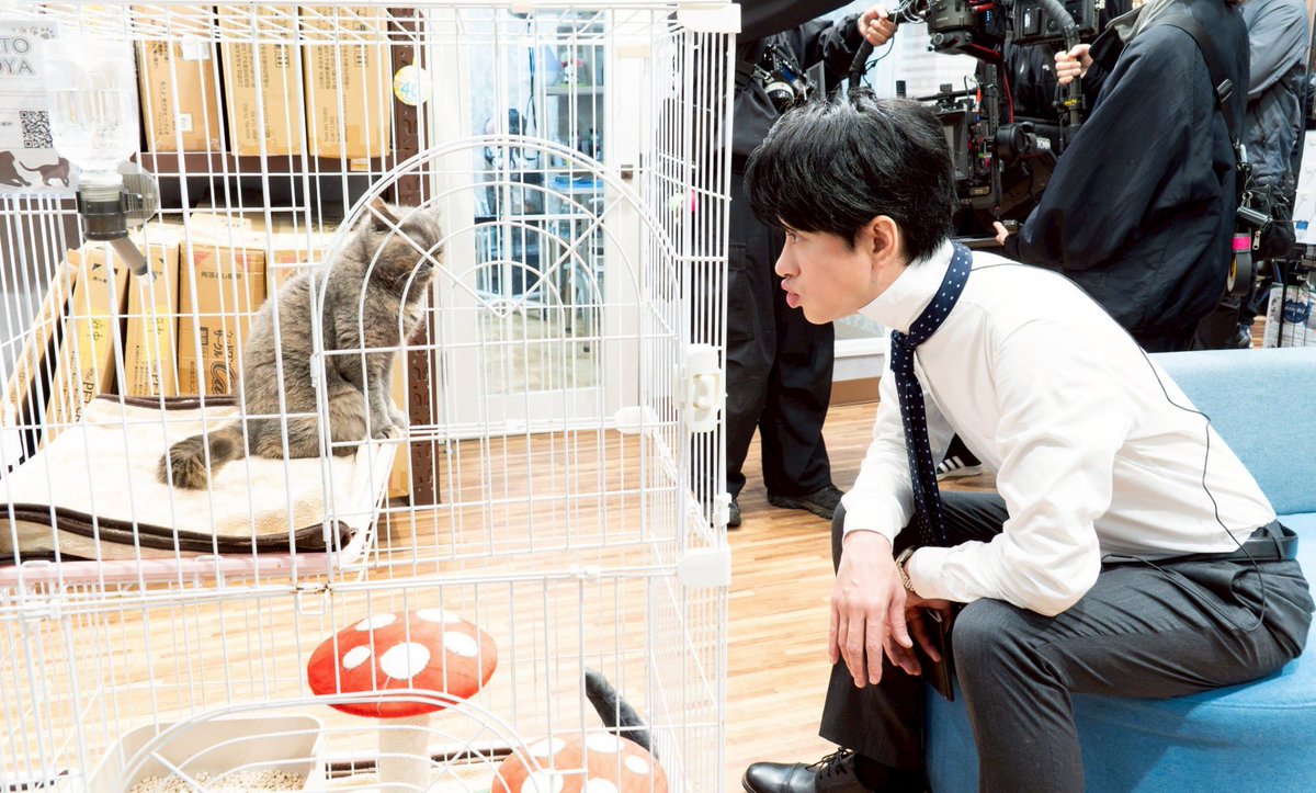 多分 10代の横山裕 ポスター 白と黄色 ゆ (@k13_yy8) / Posts / X