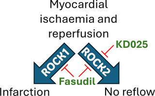 JMCC Plus tweet media