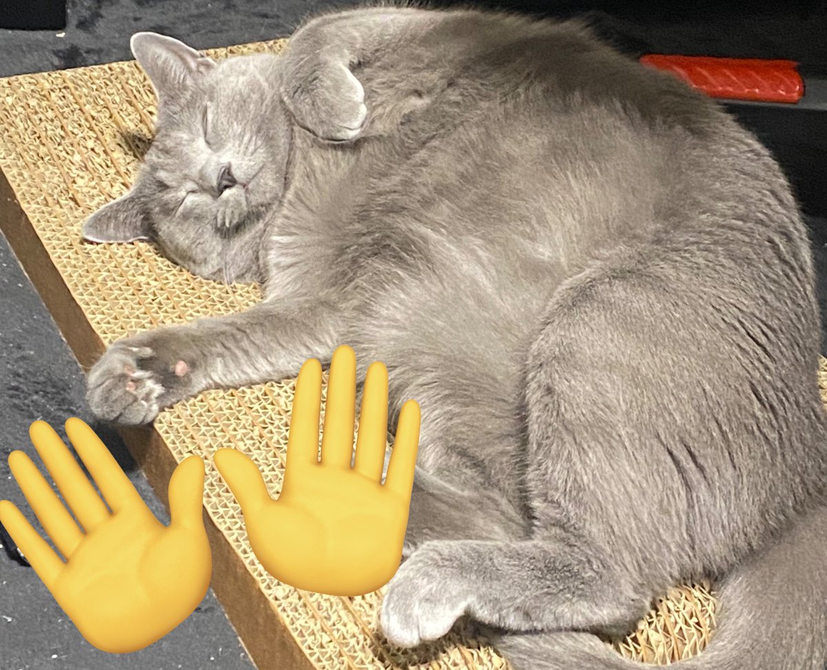 汐 しゅい tweet media