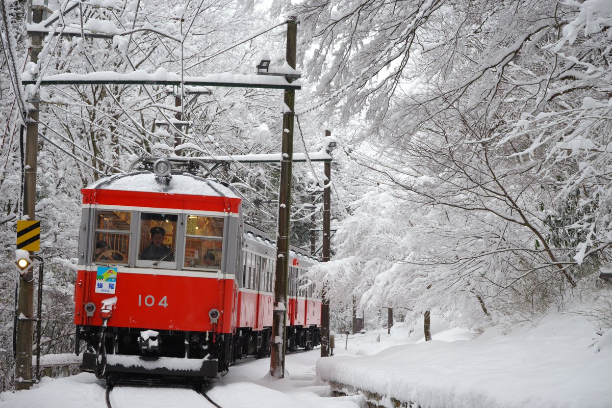 橘子(みかん) (@df4bjyuuzu) on X