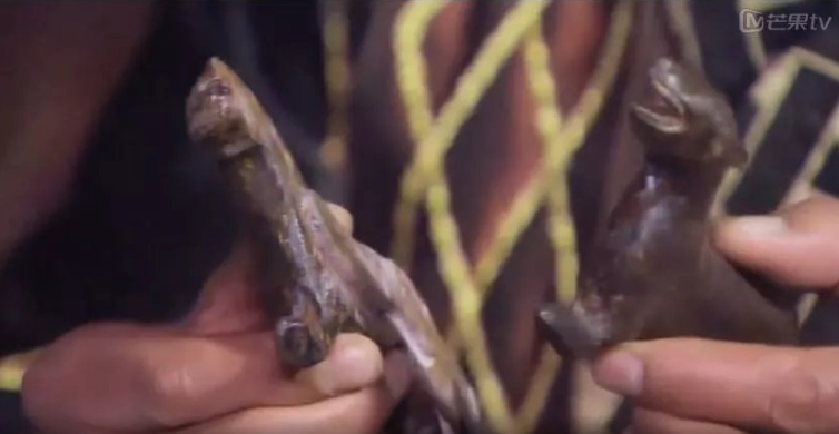 おーちゃん tweet media