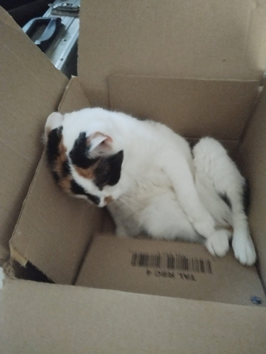 !MUTUAL AID!

Disabled, trans, chronically ill South African couple needing $300 for:

Food, medication and essentials!

Commissions are open for art (nsfw too)! Reach out to me or <a href="/Amy0____0/">Ames🏳️‍⚧️🏴🔞</a> for details!

Please share our posts and consider donating if you have spare funds!<3