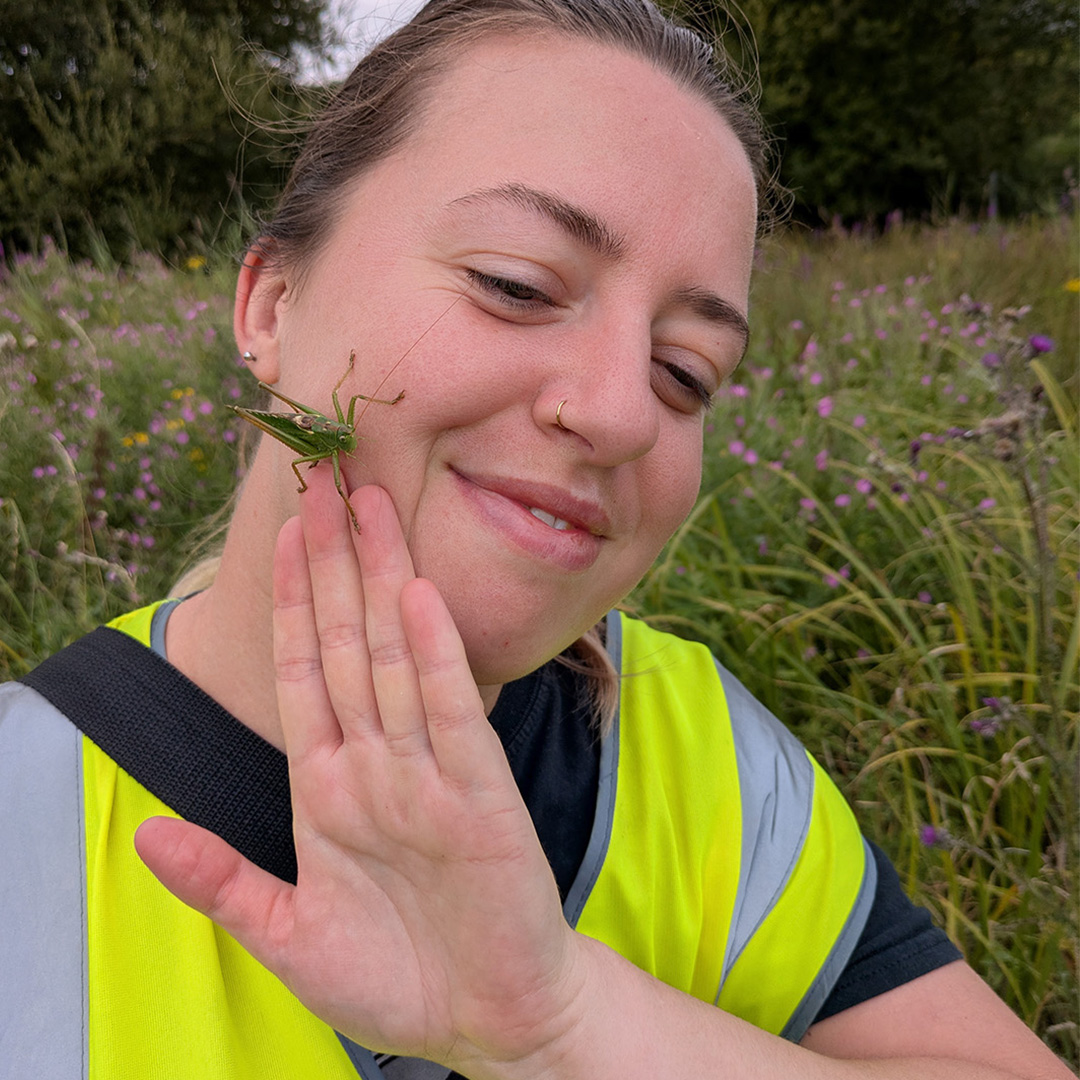 Baker Consultants - Ecology and Ecoacoustics tweet media