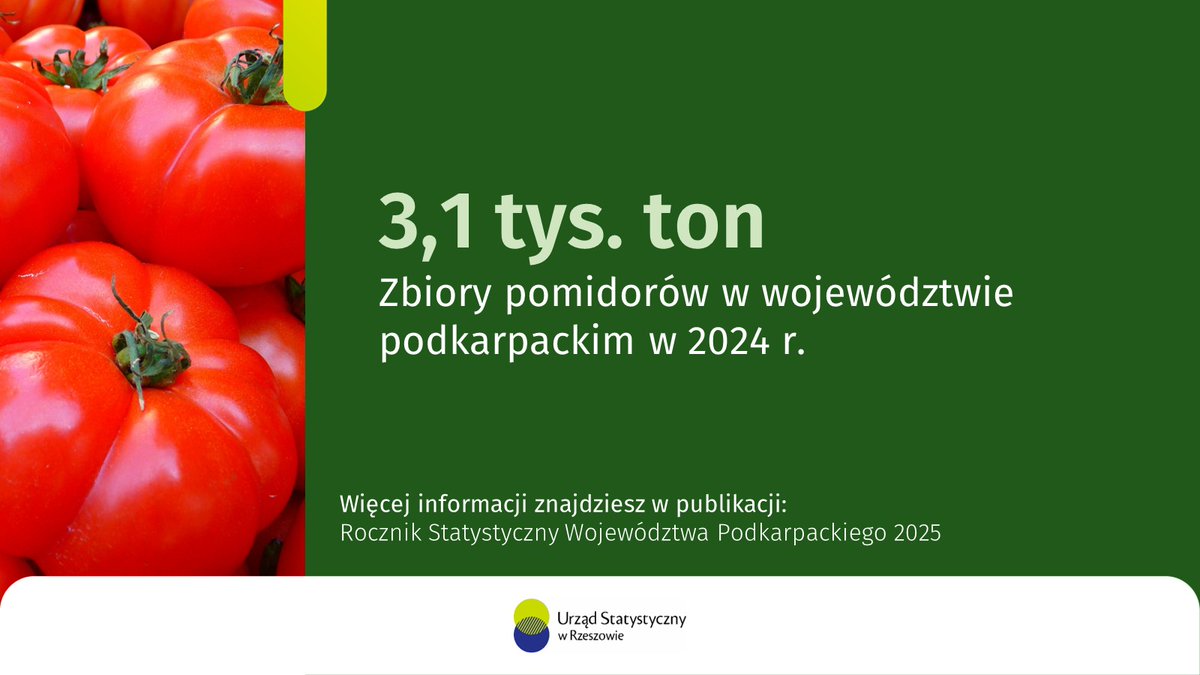 0️⃣9️⃣.0️⃣2️⃣ #MiędzynarodowyDzieńPizzy 🍅🍕

Jednym ze składników, bez którego nie wyobrażamy sobie #pizza jest sos pomidorowy. Zbiory pomidorów w 2024 r. w #WojewództwoPodkarpackie wyniosły 3,1 tys. ton – o 10,3% więcej niż w 2023 r.

Więcej ➡️ cutt.ly/RocznikUSRz2025
#Rzeszow_STAT