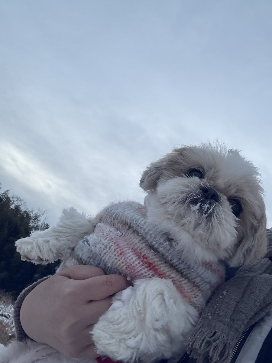 キャンディ tweet media