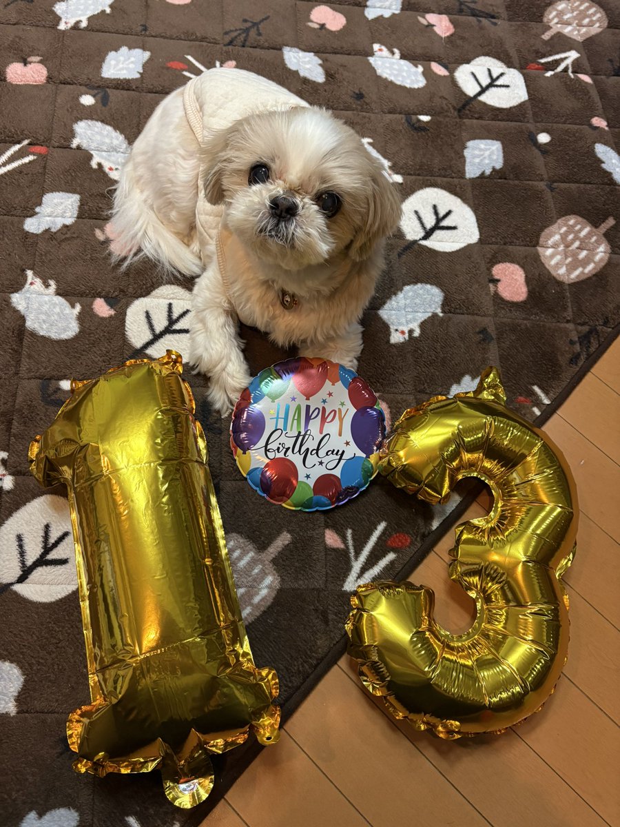 キャンディ tweet media