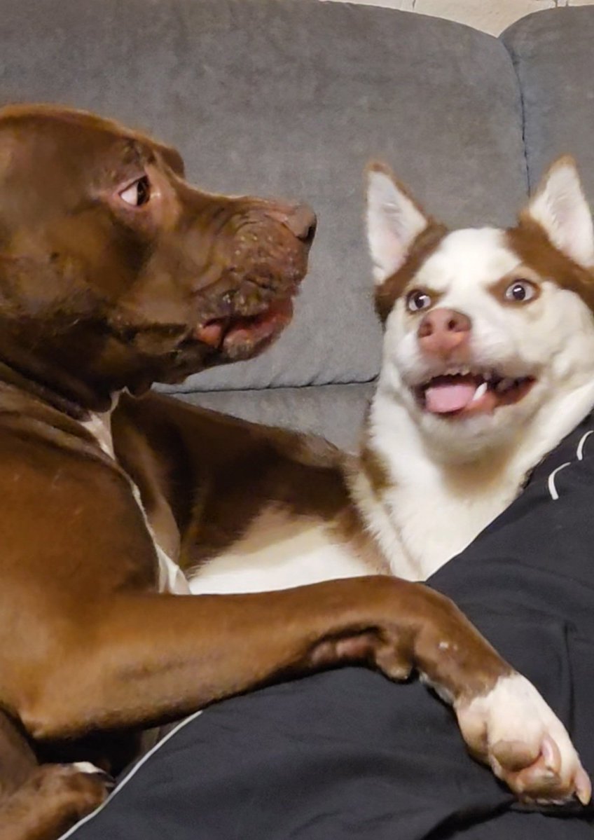 EnergyBorder's tweet image. Nike: Den Montag scheiße zu finden, ist ein gern gemachter Anfängerfehler. Der Profi hasst die ganze Woche.