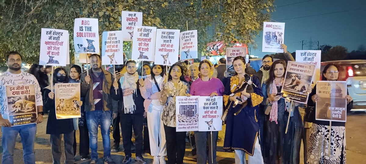 Protest will not Stop until we get justice for our animals!
8-02-2026 at janeshwar park Lucknow 
<a href="/SCofIndia/">SupremeCourtOfIndia</a> #lucknowforstrays
#saveindiandogs