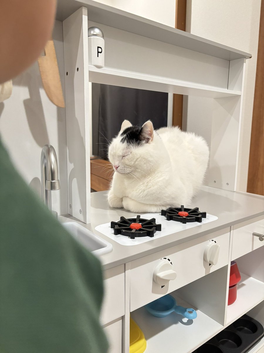 ここで寝たいんだって