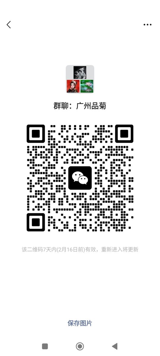 LIN GUO tweet media