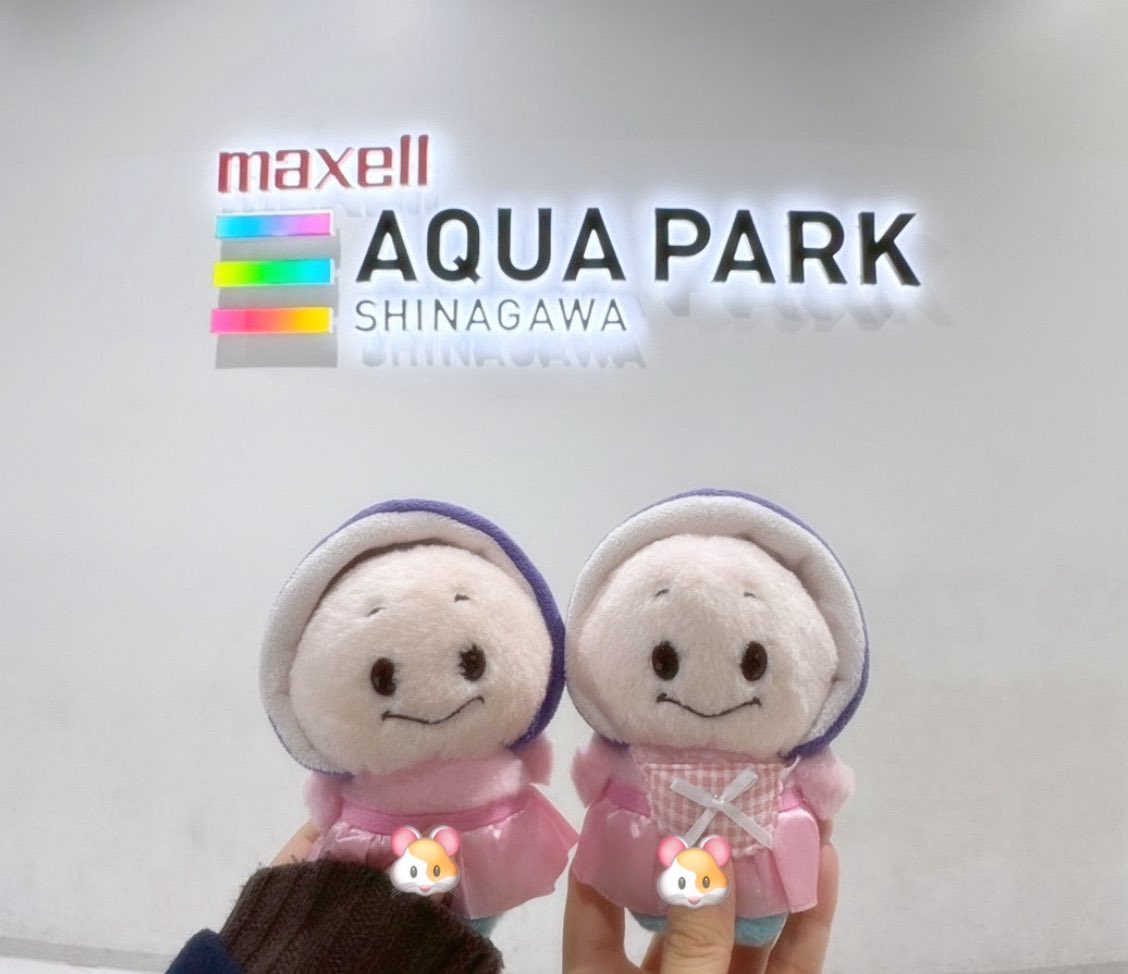 ﾐﾀﾗｼﾀﾞﾝｺﾞｯ tweet media