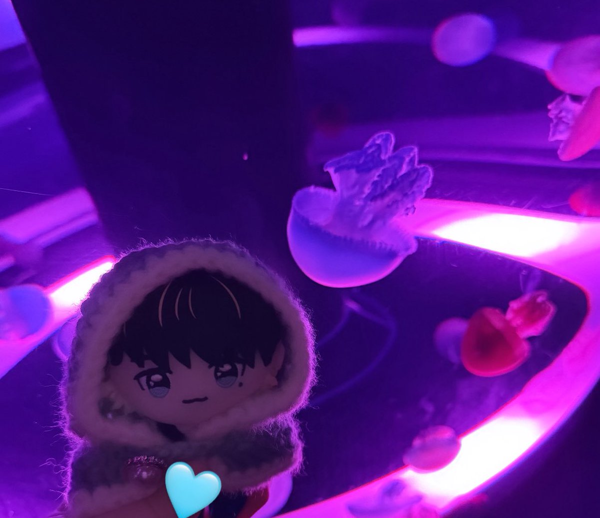 ﾐﾀﾗｼﾀﾞﾝｺﾞｯ tweet media