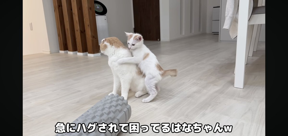 フォウ (@EMs5B5rXk3nxWbS) / Posts / X